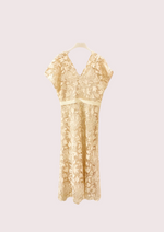 Vierre Lace Dress