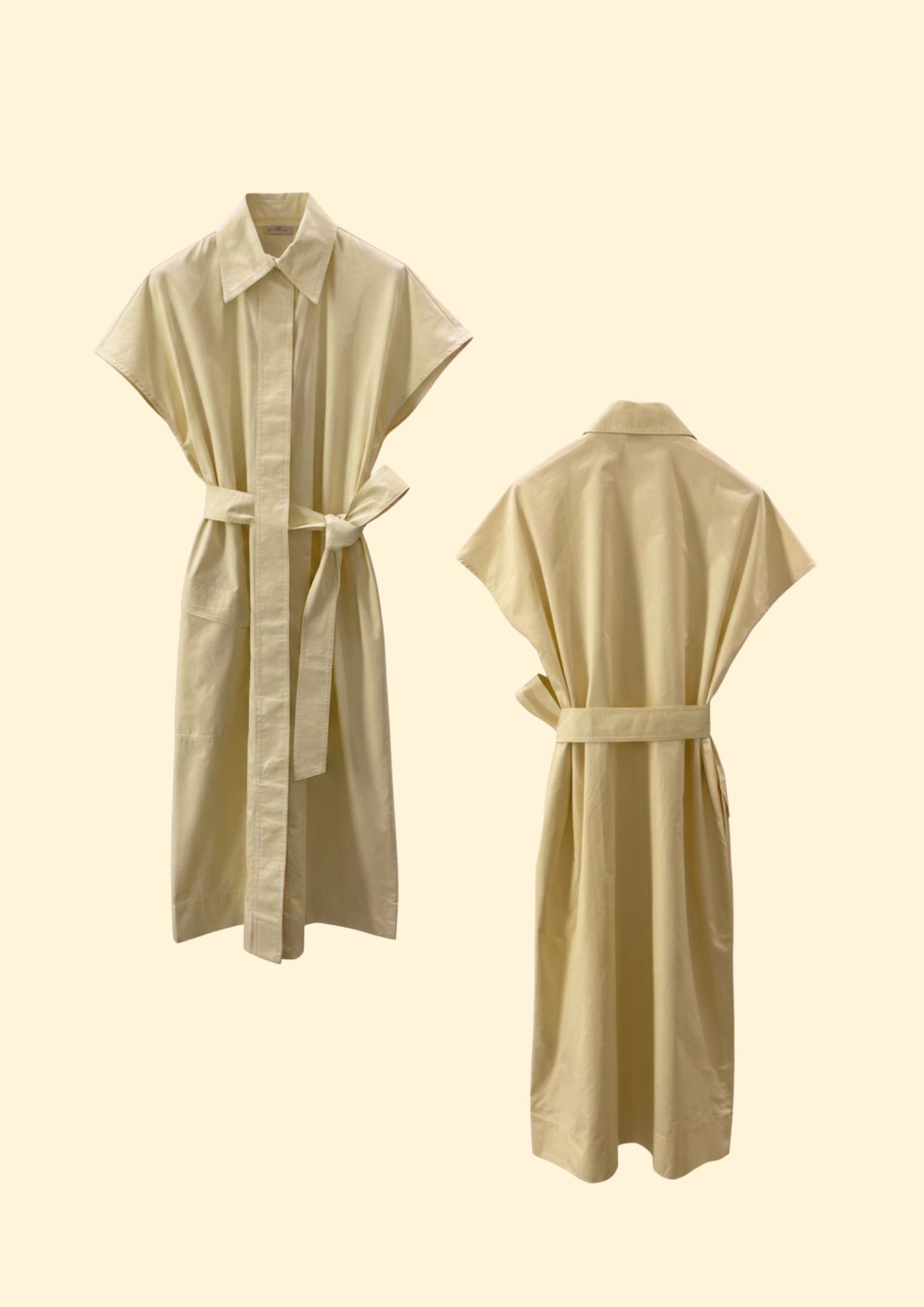 Azalea Poplin Dress