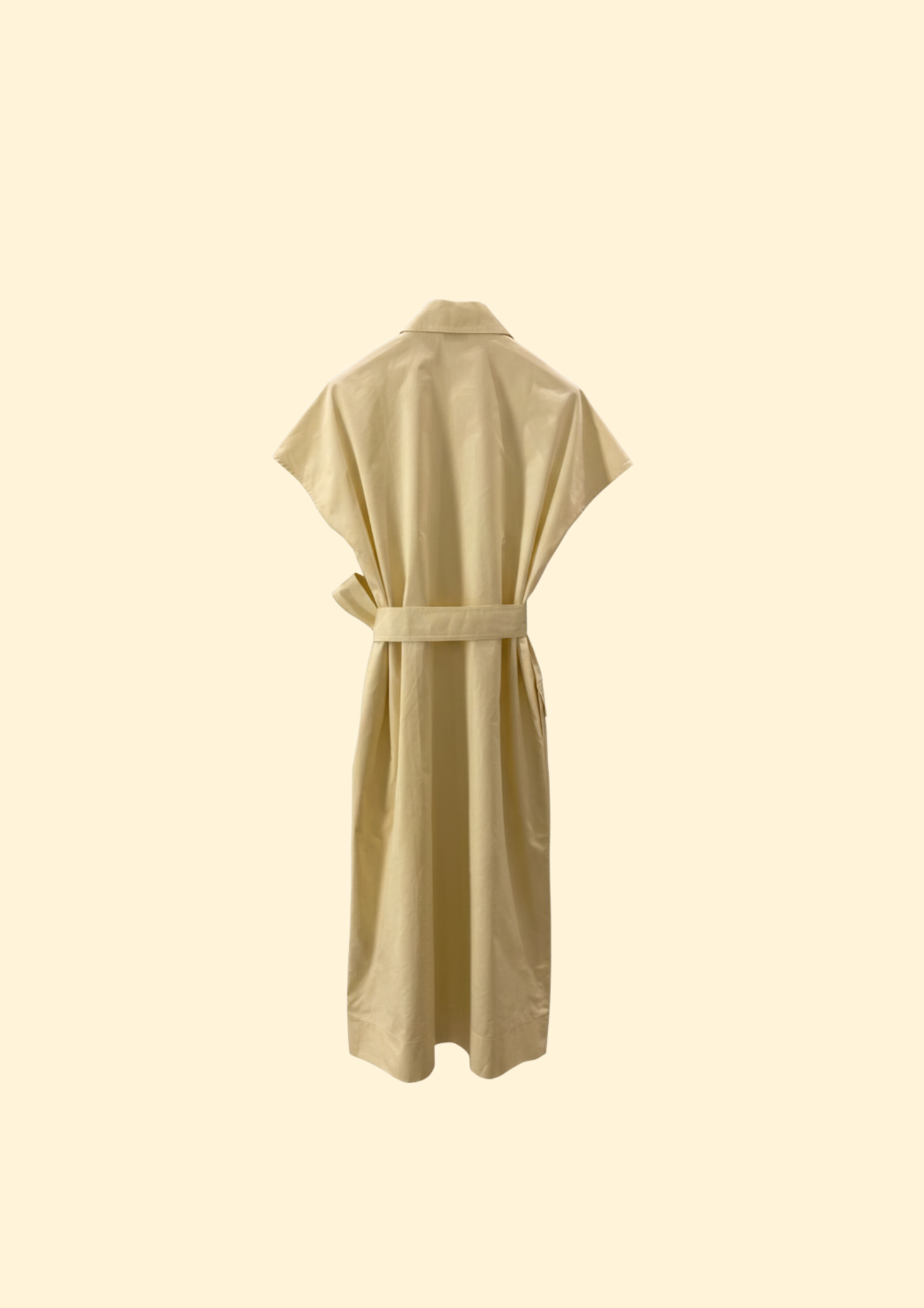 Azalea Poplin Dress